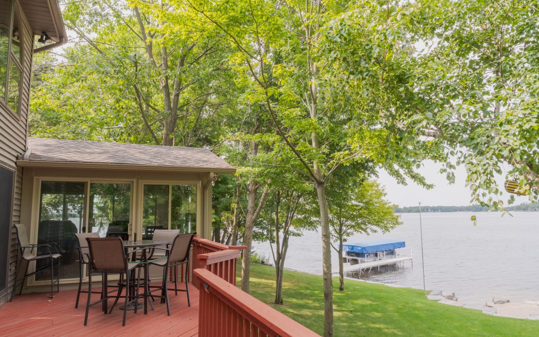 Why Your Sunroom Is the Best Spot for Indoor Plants This Summer